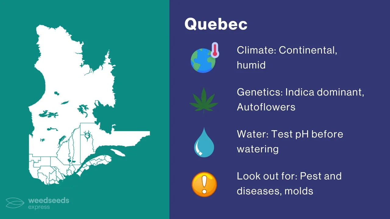 Cannabis Growing Climate in Quebec
